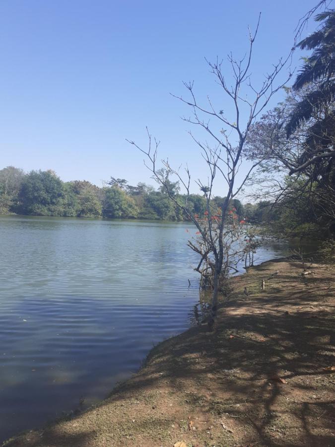 Franca Maya Hostel Campinas  Kültér fotó